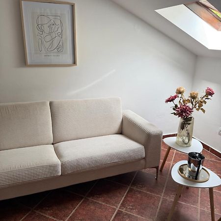 Apartment Damjan Kotor Eksteriør bilde